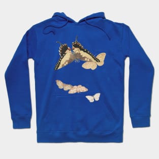 Moths and Butterflies sketch Hoodie